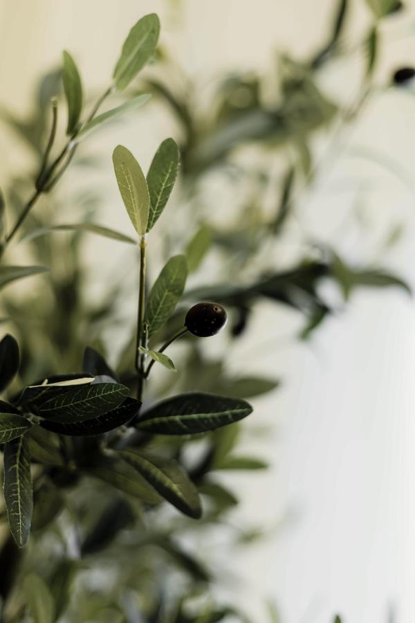 Appartamento Olive Koukaki Atene Esterno foto